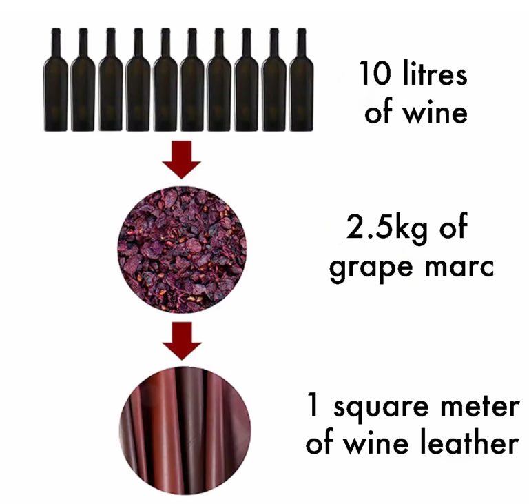 wine leater