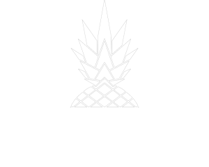 dan and mez footer logo